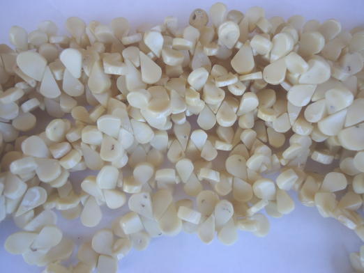 (image for) Cream Bamboo coral beads #TU1058